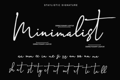 President Font by Stellar Studio — Script Handwritten Font — thumbnail 7