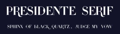 Presidente Serif by Typeline Studio — Sans Serif Font — thumbnail 2