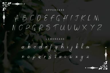 Prestigious Olives Font by Tigade std — Script Handwritten Font — thumbnail 4