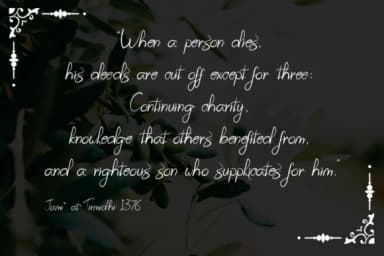 Prestigious Olives Font by Tigade std — Script Handwritten Font — thumbnail 6