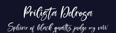 Prilista Delrosa by Perspectype Studio - Letterena.com — Script Handwritten Font — thumbnail 2