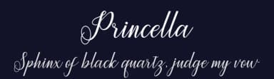 Princella by Amarlettering - Takiy — Script Handwritten Font — thumbnail 2