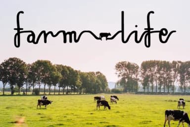 Princess Amelia Font by Creative Fabrica Fonts — Script Handwritten Font — thumbnail 3