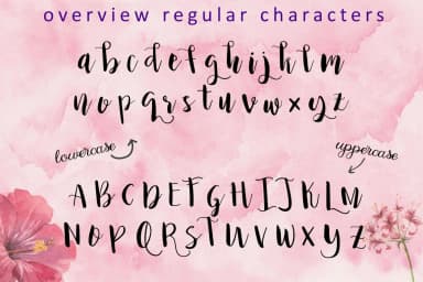 Princess Ivy Font by Little Big Bundle — Script Handwritten Font — thumbnail 3