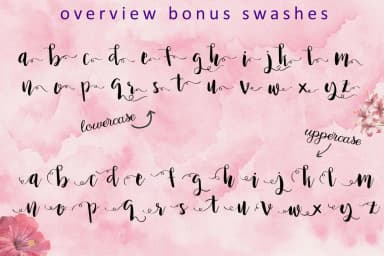 Princess Ivy Font by Little Big Bundle — Script Handwritten Font — thumbnail 4