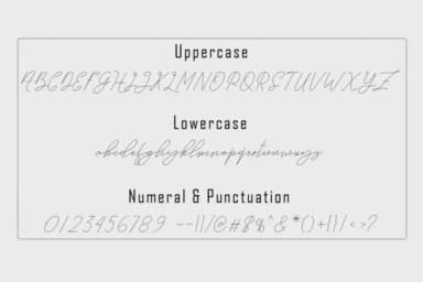 Princessa Font by parawtype — Script Handwritten Font — thumbnail 6