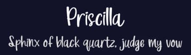 Priscilla by Tokokoo Studio — Script Handwritten Font — thumbnail 2