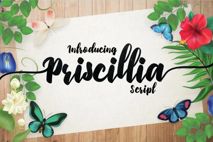 Priscillia Font by Debut Studio — Script Handwritten Font