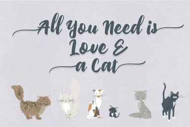 Priscillia Font by Debut Studio — Script Handwritten Font — thumbnail 5