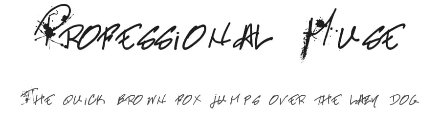Professional Muse by Casey Castille — Script Handwritten Font