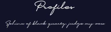 Profiles by Letternun — Script Handwritten Font — thumbnail 2