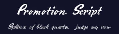 Promotion Script by Intellecta Design — Script Handwritten Font — thumbnail 2