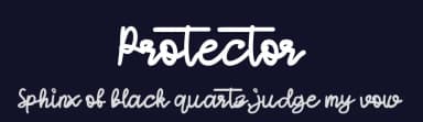 Protector by Dankin' Don — Script Handwritten Font — thumbnail 2