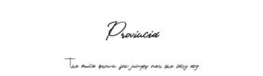 Provincia by Mariyana — Script Handwritten Font — thumbnail 1