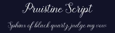 Pruistine Script by Supotype Studio — Script Handwritten Font — thumbnail 2