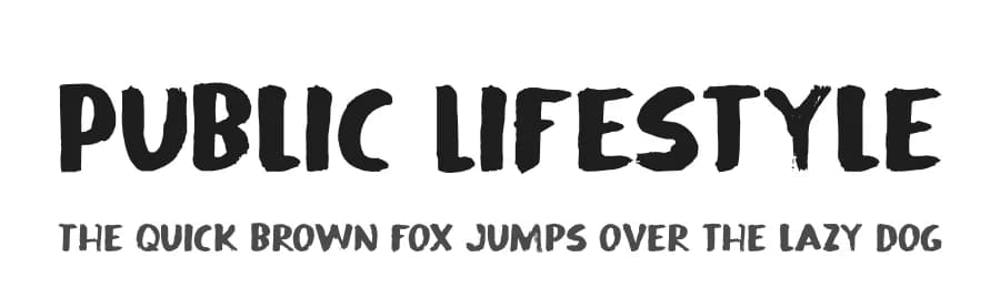 Public Lifestyle by D K — Script Handwritten Font