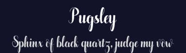 Pugsley by Pollem Studio — Script Handwritten Font — thumbnail 2