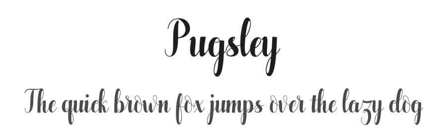 Pugsley by Pollem Studio — Script Handwritten Font