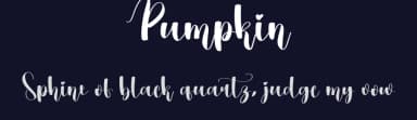 Pumpkin by Scratchones — Script Handwritten Font — thumbnail 2