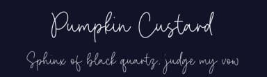 Pumpkin Custard by Letterative Studio — Script Handwritten Font — thumbnail 2