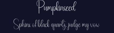 Pumpkinseed by Andi Moz — Script Handwritten Font — thumbnail 2