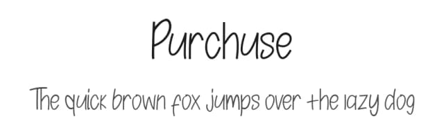 Purchuse by Eight template Studio — Script Handwritten Font