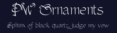 PW Ornaments by Peax Webdesign — Script Handwritten Font — thumbnail 2