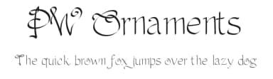 PW Ornaments by Peax Webdesign — Script Handwritten Font — thumbnail 1