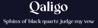 Qaligo by Youthlabs Studio — Serif Font — thumbnail 2
