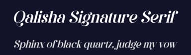 Qalisha Signature Serif by Storytype Studio — Serif Font — thumbnail 2