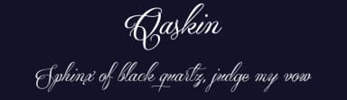 Qaskin by Måns Grebäck — Script Handwritten Font — thumbnail 2