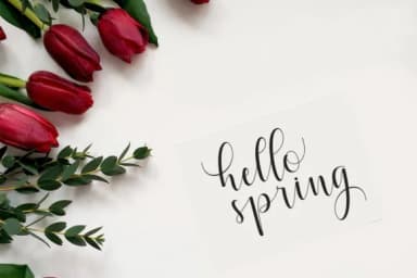 Qatielia Family Font by Bexx Type — Script Handwritten Font — thumbnail 2