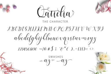 Qatielia Family Font by Bexx Type — Script Handwritten Font — thumbnail 4