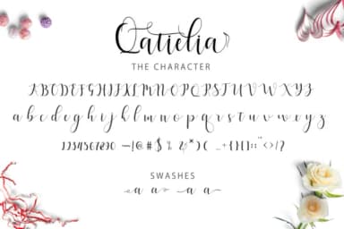 Qatielia Family Font by Bexx Type — Script Handwritten Font — thumbnail 5