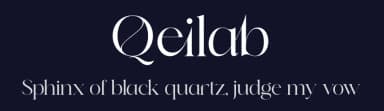 Qeilab by Storytype Studio — Serif Font — thumbnail 2