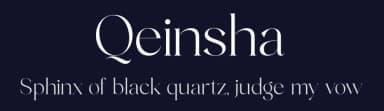Qeinsha by Storytype Studio — Serif Font — thumbnail 2