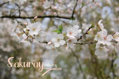 Qlinsey Font by dmletter31 — Script Handwritten Font — thumbnail 6