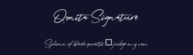 Qonita Signature by Intype — Script Handwritten Font — thumbnail 2