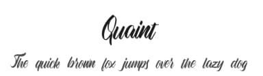 Quaint by Rochart Studio — Script Handwritten Font — thumbnail 1