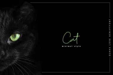 Quake Love Font by BennyDesigns — Script Handwritten Font — thumbnail 4