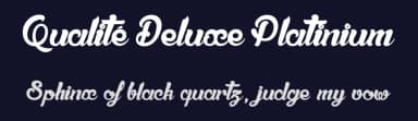 Qualité Deluxe Platinium by dcoxy - Greg Medina — Script Handwritten Font — thumbnail 2