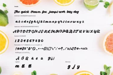 Quanty Font by Vunira — Script Handwritten Font — thumbnail 6