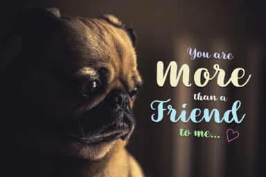 Quarter Font by Pasha Larin — Script Handwritten Font — thumbnail 4