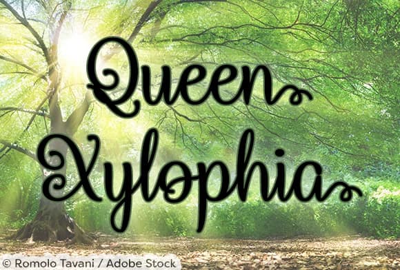 Queen Xylophia Font by Misti — Script Handwritten Font