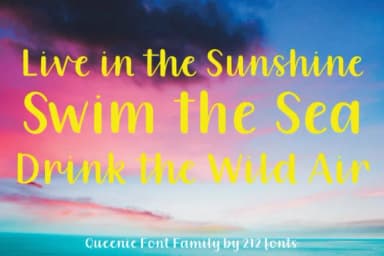 Queenie Font by 212 Fonts — Script Handwritten Font — thumbnail 3