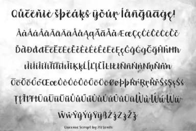 Queenie Font by 212 Fonts — Script Handwritten Font — thumbnail 8