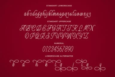 Queenline Font by Blankids Studio — Script Handwritten Font — thumbnail 9