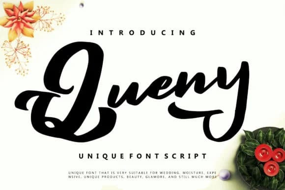 Queny Font by Vunira — Script Handwritten Font