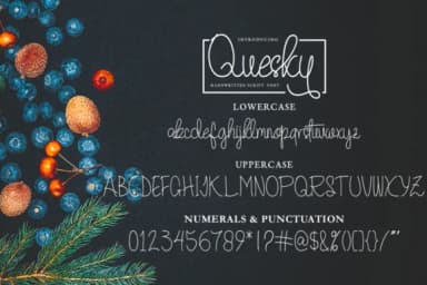 Quesky Font by CBRTEXT Studio — Script Handwritten Font — thumbnail 6