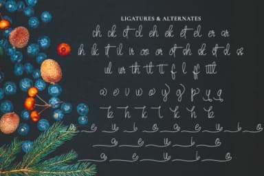 Quesky Font by CBRTEXT Studio — Script Handwritten Font — thumbnail 7